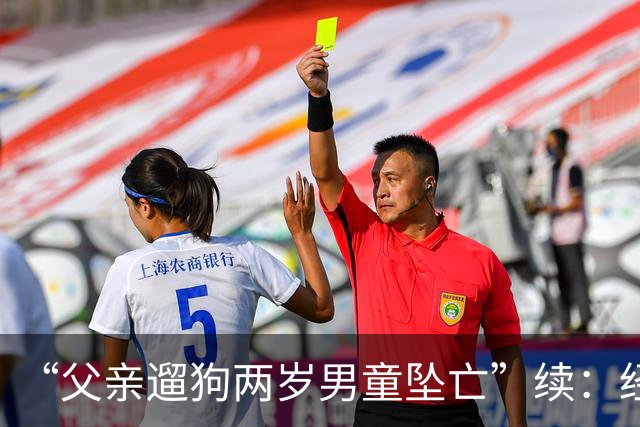 “父亲遛狗两岁男童坠亡”续：经审查没有犯罪事实，警方不予立案