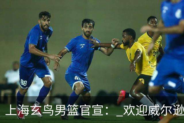 上海玄鸟男篮官宣： 欢迎威尔逊&布莱森&马尔库松加盟上海玄鸟