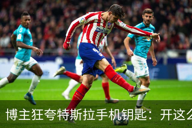 博主狂夸特斯拉手机钥匙：开这么多年没失误过 真是断层第一
