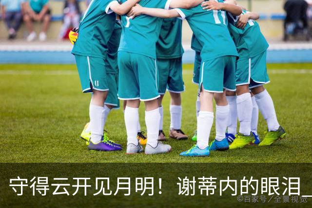 守得云开见月明！谢蒂内的眼泪 津门虎一整年心声