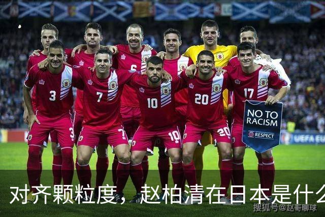 对齐颗粒度，赵柏清在日本是什么水平？